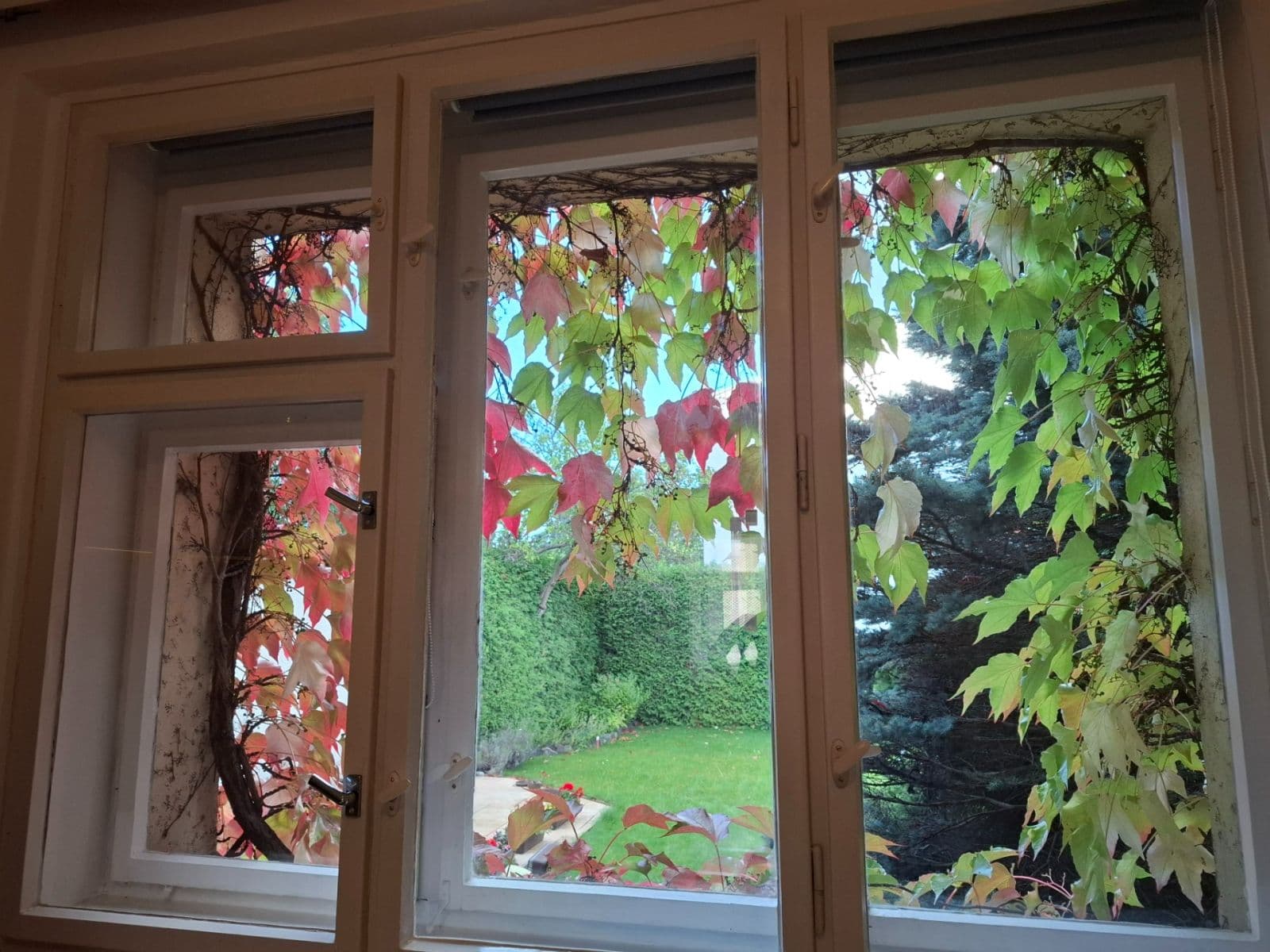 1 bedroom flat to rent, 48 m², Javorová, Prague, Prague 1 bedroom flat to rent, 48 m², Javorová, Prague, Prague