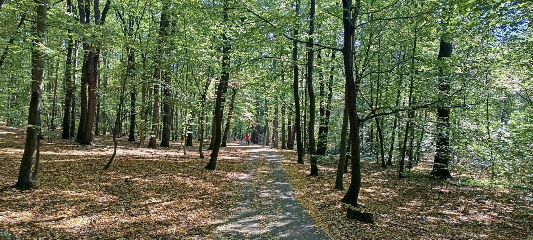 1 bedroom flat to rent, 48 m², Javorová, Prague, Prague 1 bedroom flat to rent, 48 m², Javorová, Prague, Prague