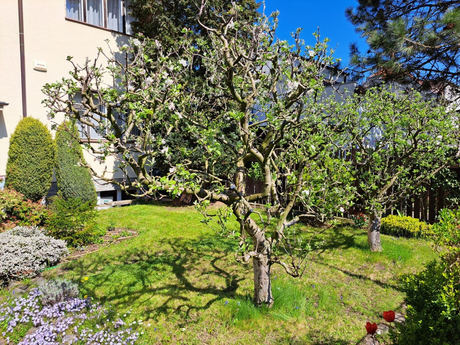 1 bedroom flat to rent, 48 m², Javorová, Prague, Prague 1 bedroom flat to rent, 48 m², Javorová, Prague, Prague