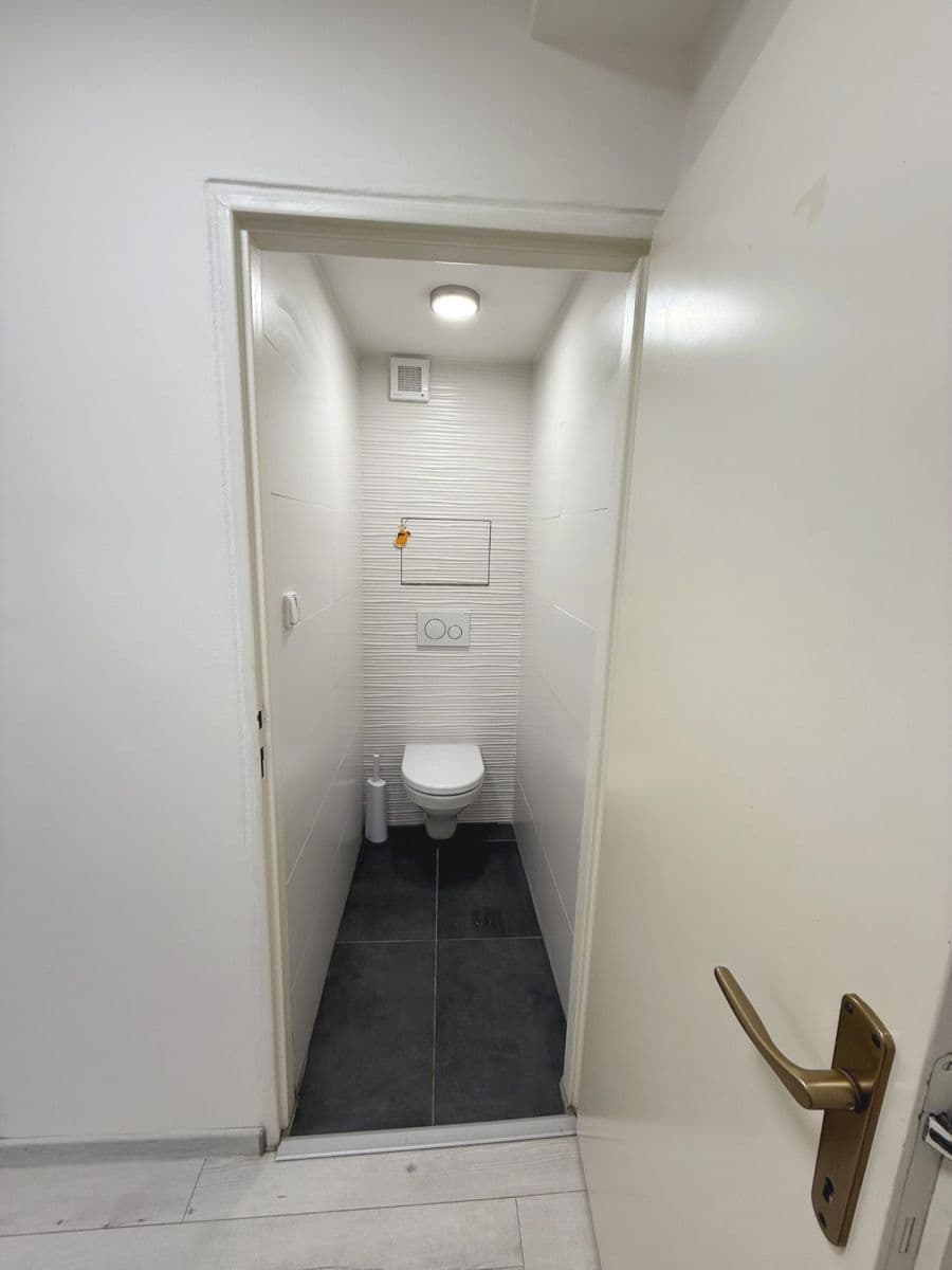 1 bedroom with open-plan kitchen flat for sale, 50 m², Nad Závodištěm, Prague, Prague 1 bedroom with open-plan kitchen flat for sale, 50 m², Nad Závodištěm, Prague, Prague