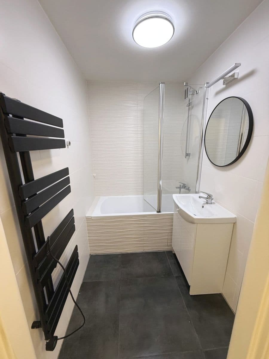 1 bedroom with open-plan kitchen flat for sale, 50 m², Nad Závodištěm, Prague, Prague 1 bedroom with open-plan kitchen flat for sale, 50 m², Nad Závodištěm, Prague, Prague