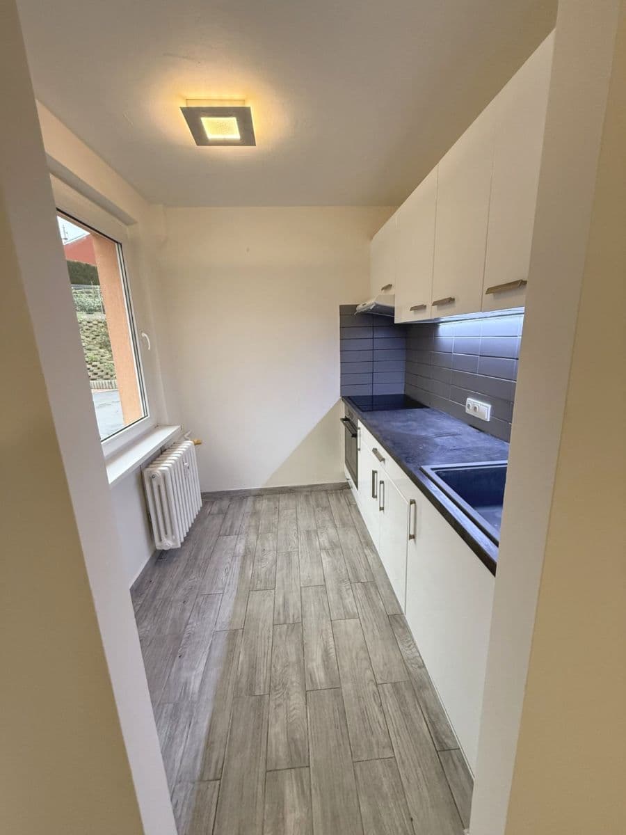 1 bedroom with open-plan kitchen flat for sale, 50 m², Nad Závodištěm, Prague, Prague 1 bedroom with open-plan kitchen flat for sale, 50 m², Nad Závodištěm, Prague, Prague