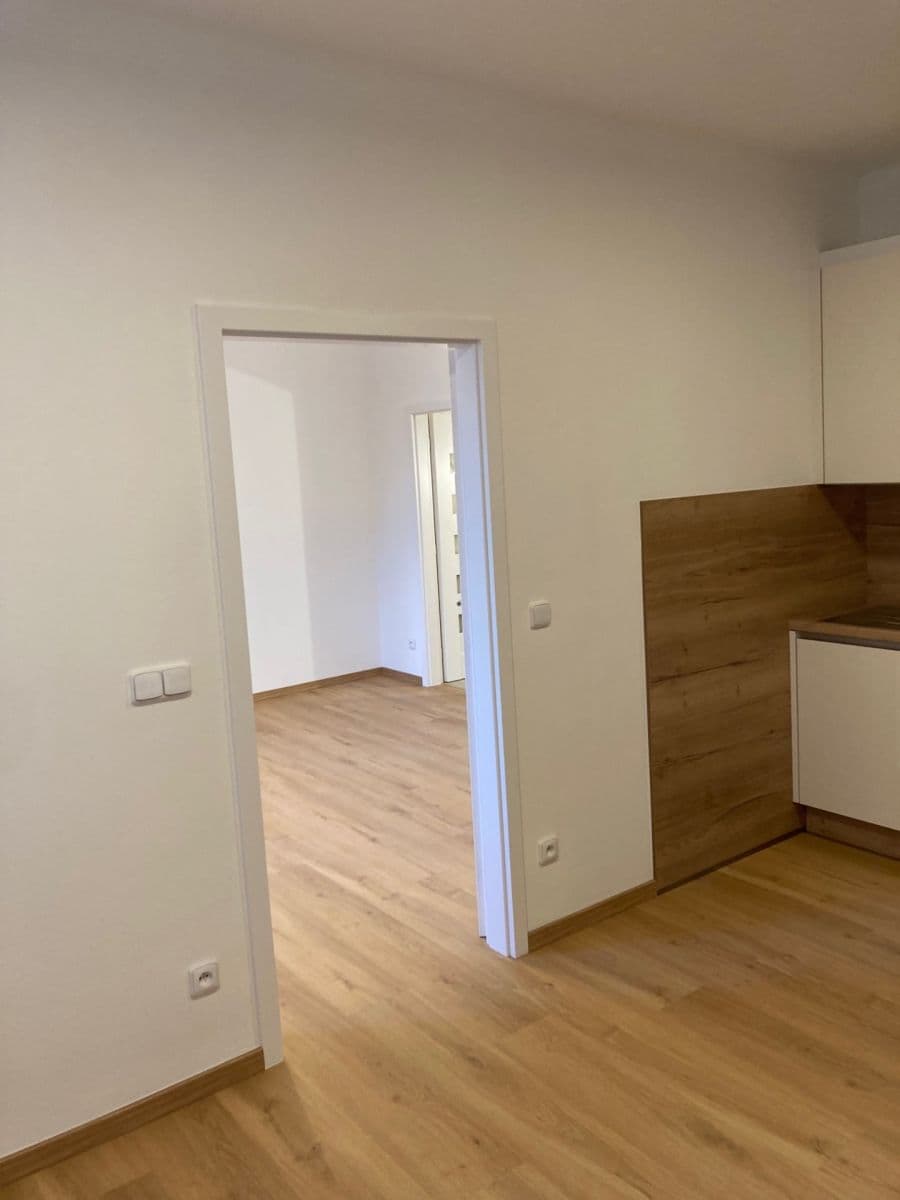 1 bedroom with open-plan kitchen flat to rent, 50 m², U Jezerky, Prague, Prague 1 bedroom with open-plan kitchen flat to rent, 50 m², U Jezerky, Prague, Prague