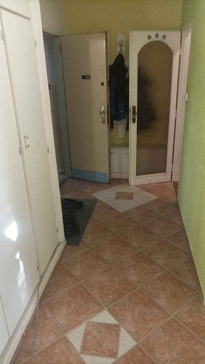 1 bedroom flat for sale, 41 m², Nepomucká, Plzeň, Plzeňský Region 1 bedroom flat for sale, 41 m², Nepomucká, Plzeň, Plzeňský Region