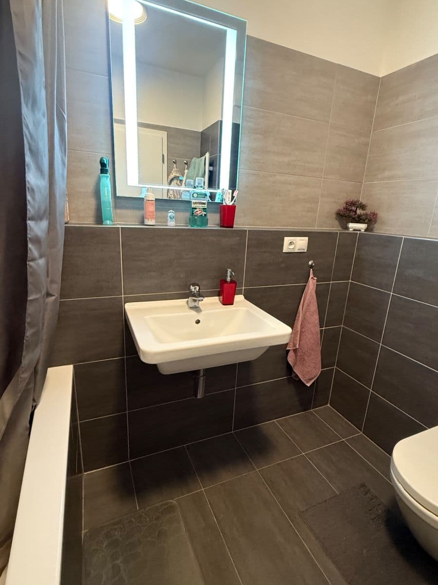 1 bedroom with open-plan kitchen flat for sale, 59 m², Modrého, Prague, Prague 1 bedroom with open-plan kitchen flat for sale, 59 m², Modrého, Prague, Prague