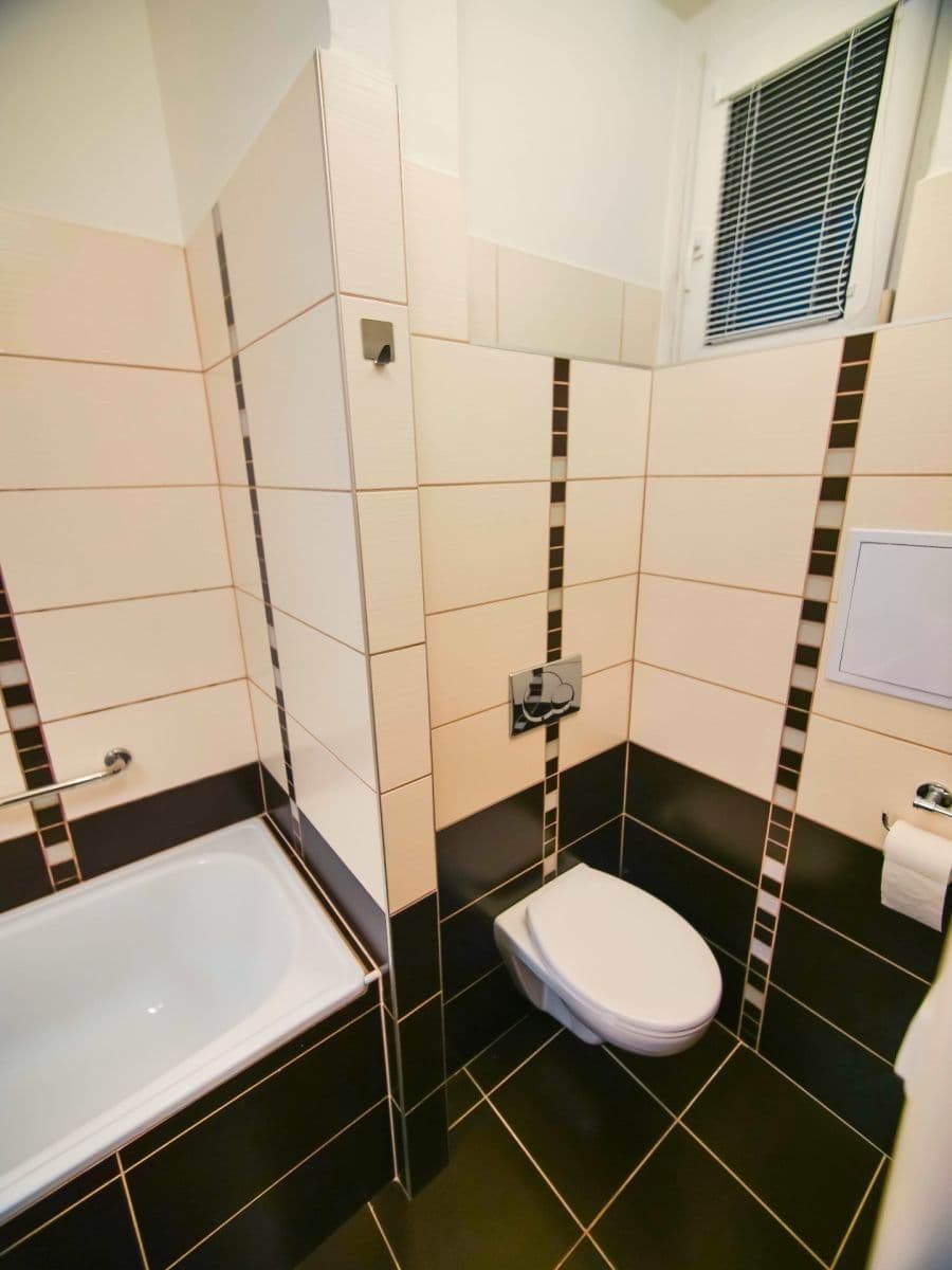 1 bedroom with open-plan kitchen flat to rent, 52 m², Za Zelenou Liškou, Prague, Prague 1 bedroom with open-plan kitchen flat to rent, 52 m², Za Zelenou Liškou, Prague, Prague