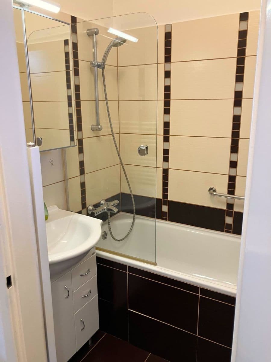 1 bedroom with open-plan kitchen flat to rent, 52 m², Za Zelenou Liškou, Prague, Prague 1 bedroom with open-plan kitchen flat to rent, 52 m², Za Zelenou Liškou, Prague, Prague