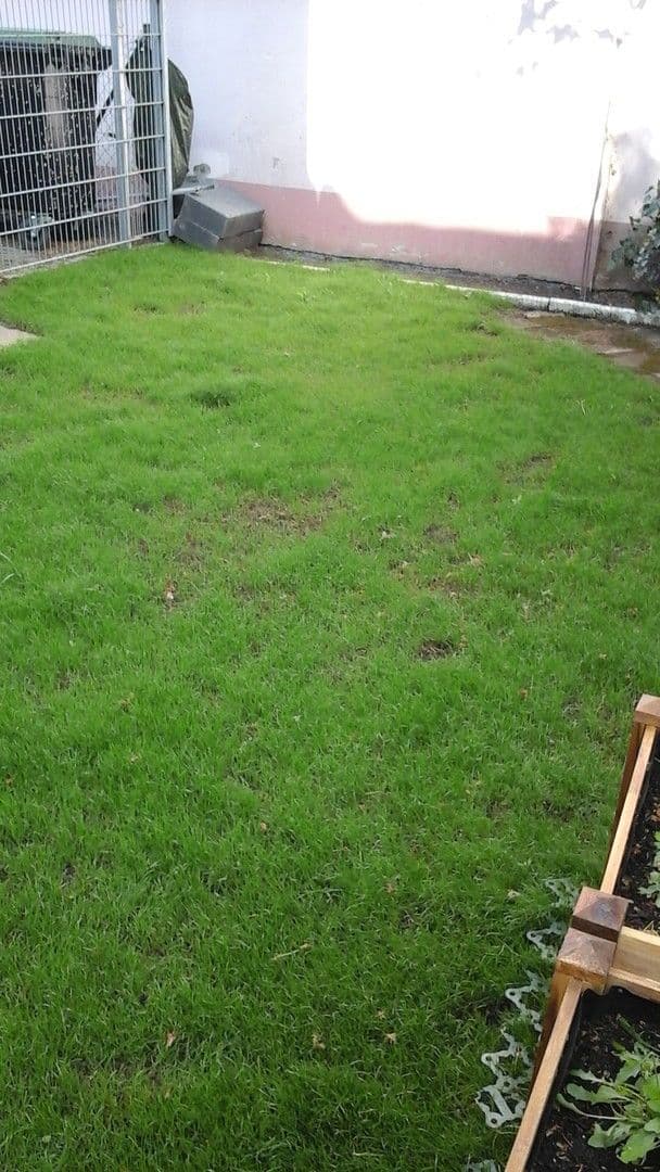 3 bedroom flat to rent, 68 m², Hennef (Sieg), North Rhine-Westphalia 3 bedroom flat to rent, 68 m², Hennef (Sieg), North Rhine-Westphalia