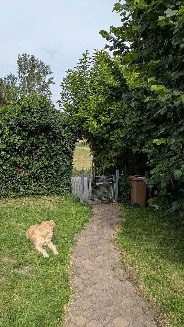 house for sale, 100 m², Hammersbach, Hesse house for sale, 100 m², Hammersbach, Hesse