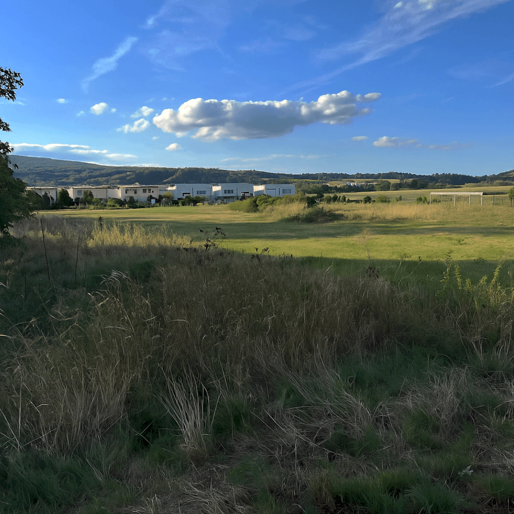 plot for sale, 780 m², Gumpoldskirchen, Lower Austria plot for sale, 780 m², Gumpoldskirchen, Lower Austria