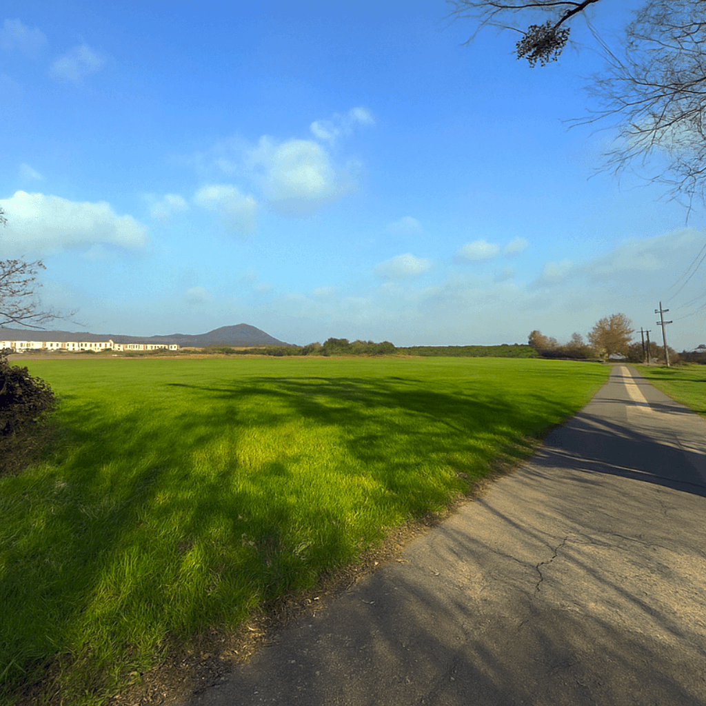 plot for sale, 780 m², Gumpoldskirchen, Lower Austria plot for sale, 780 m², Gumpoldskirchen, Lower Austria