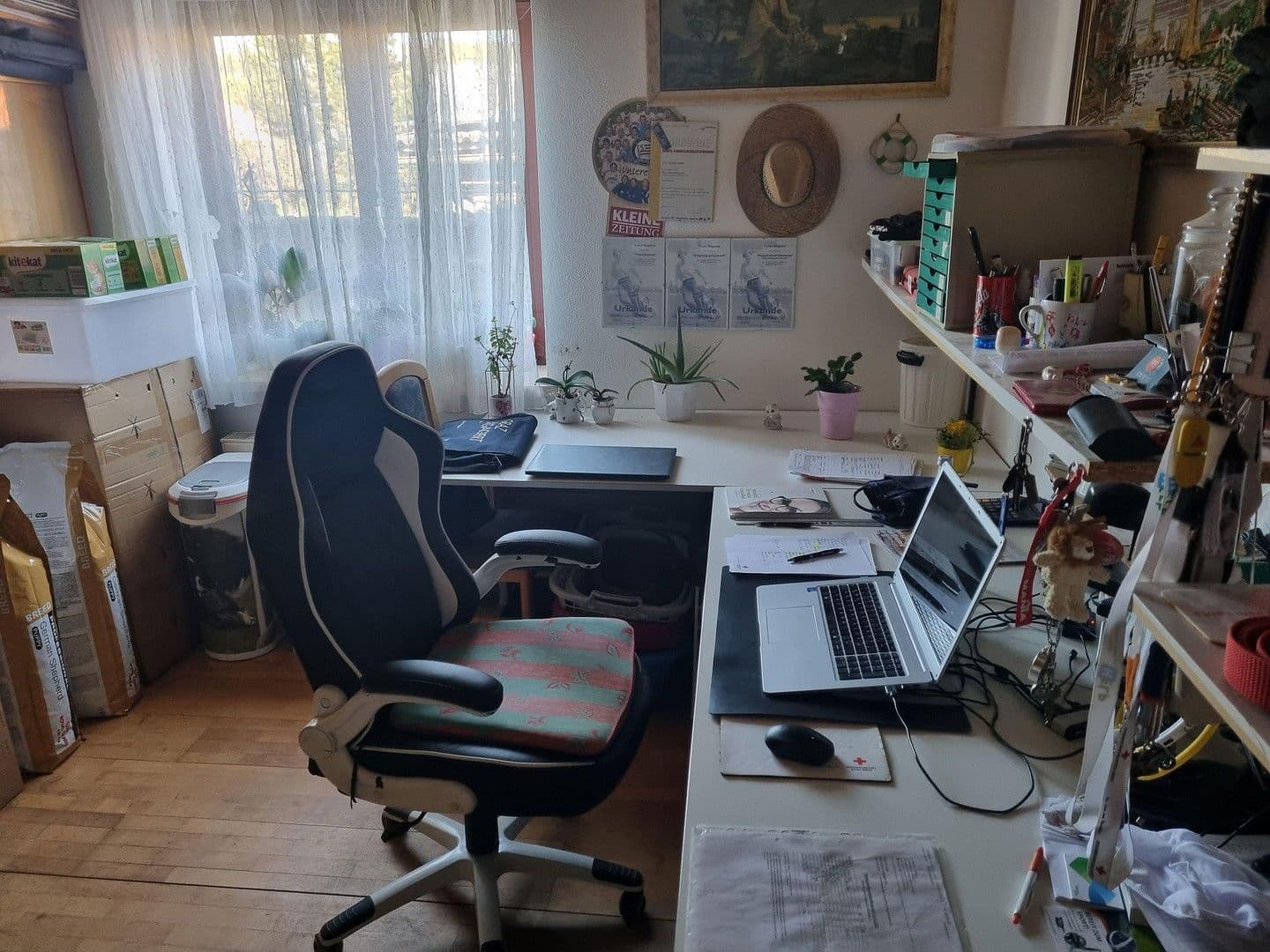 house for sale, 300 m², Wildon, Styria house for sale, 300 m², Wildon, Styria