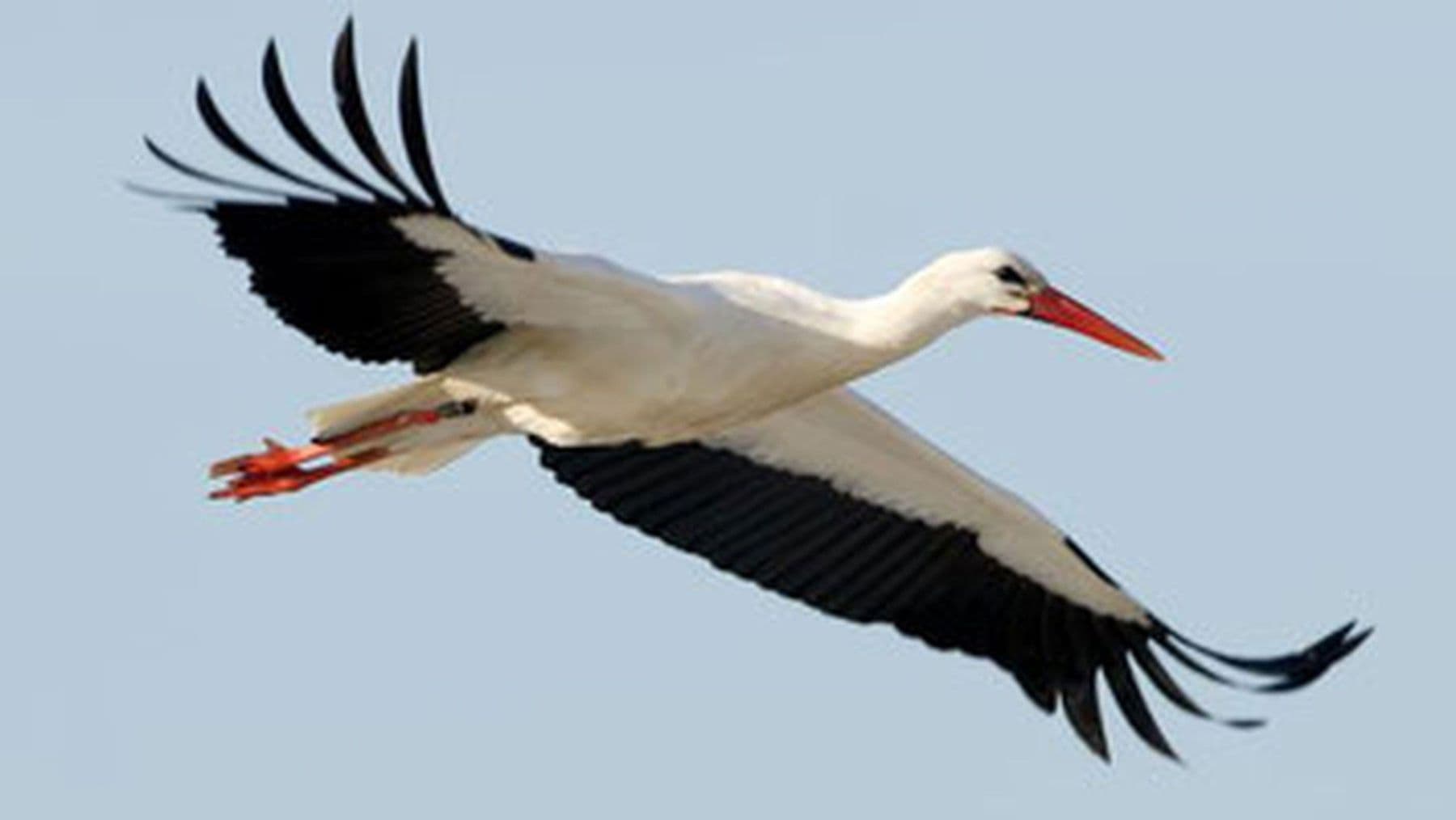 3 bedroom flat to rent, 73 m², Strasse am Uckersee 13, Nordwestuckermark, Brandenburg 3 bedroom flat to rent, 73 m², Strasse am Uckersee 13, Nordwestuckermark, Brandenburg