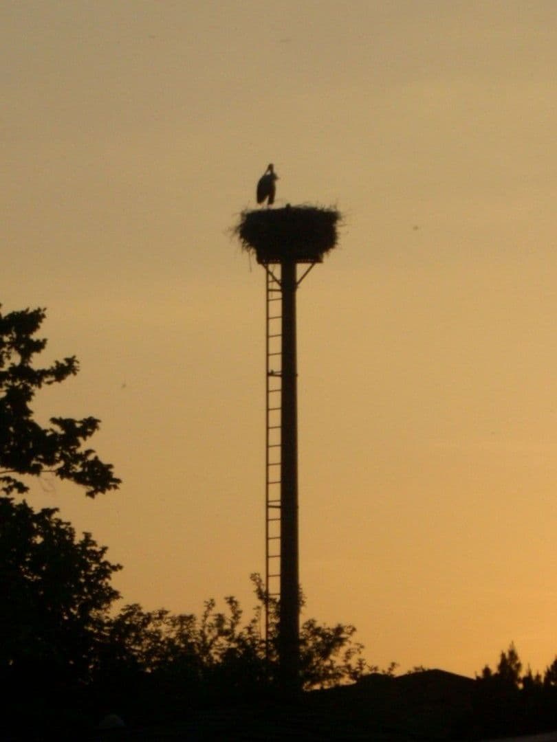 3 bedroom flat to rent, 73 m², Strasse am Uckersee 13, Nordwestuckermark, Brandenburg 3 bedroom flat to rent, 73 m², Strasse am Uckersee 13, Nordwestuckermark, Brandenburg