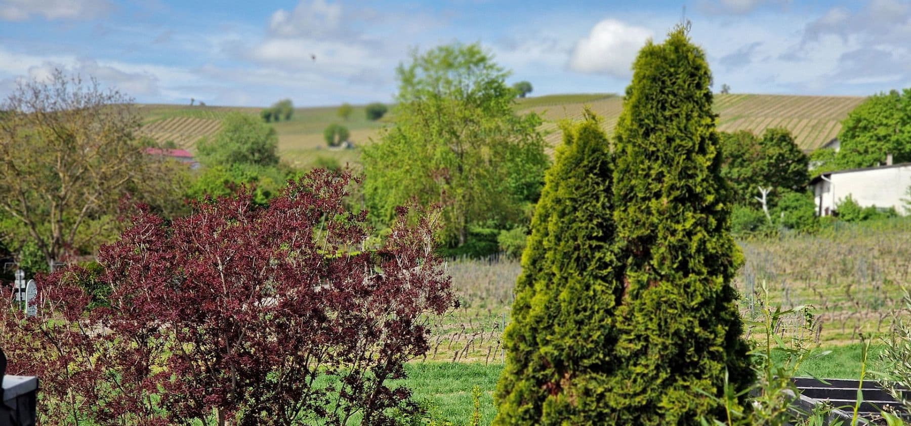 2 bedroom flat to rent, 52 m², Bodenheim, Rhineland-Palatinate 2 bedroom flat to rent, 52 m², Bodenheim, Rhineland-Palatinate