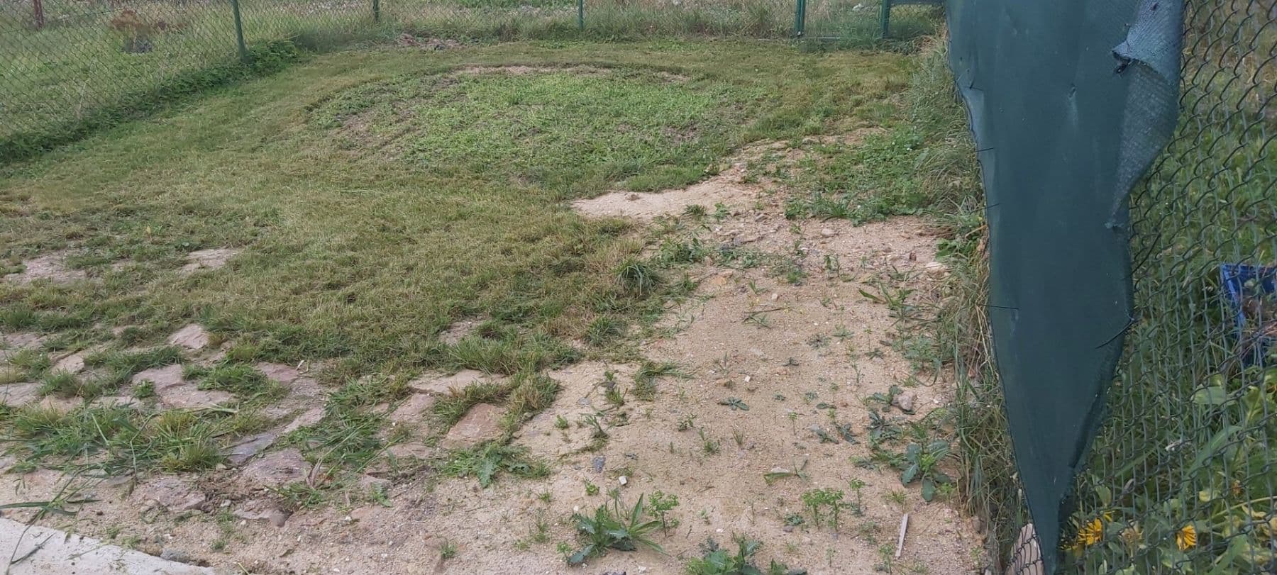 recreational property to rent, 179 m², Příbramská, Rokycany, Plzeňský Region recreational property to rent, 179 m², Příbramská, Rokycany, Plzeňský Region