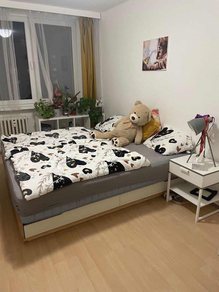 1 bedroom with open-plan kitchen flat to rent, 39 m², Bryksova, Prague, Prague 1 bedroom with open-plan kitchen flat to rent, 39 m², Bryksova, Prague, Prague