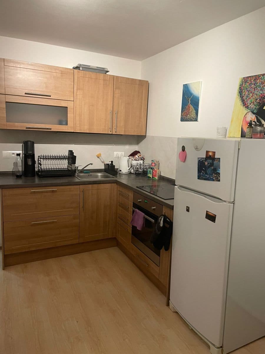 1 bedroom with open-plan kitchen flat to rent, 39 m², Bryksova, Prague, Prague 1 bedroom with open-plan kitchen flat to rent, 39 m², Bryksova, Prague, Prague