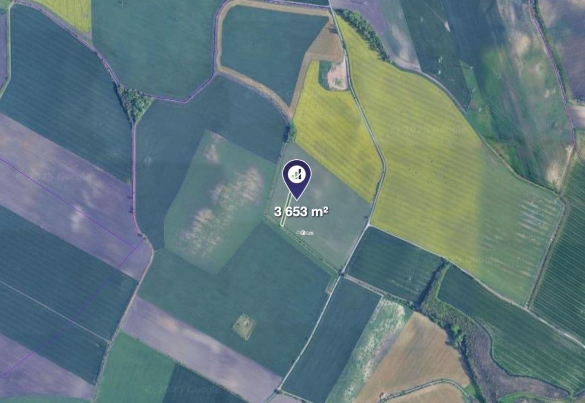 plot for sale, 3,653 m², Těšany, Jihomoravský Region plot for sale, 3,653 m², Těšany, Jihomoravský Region