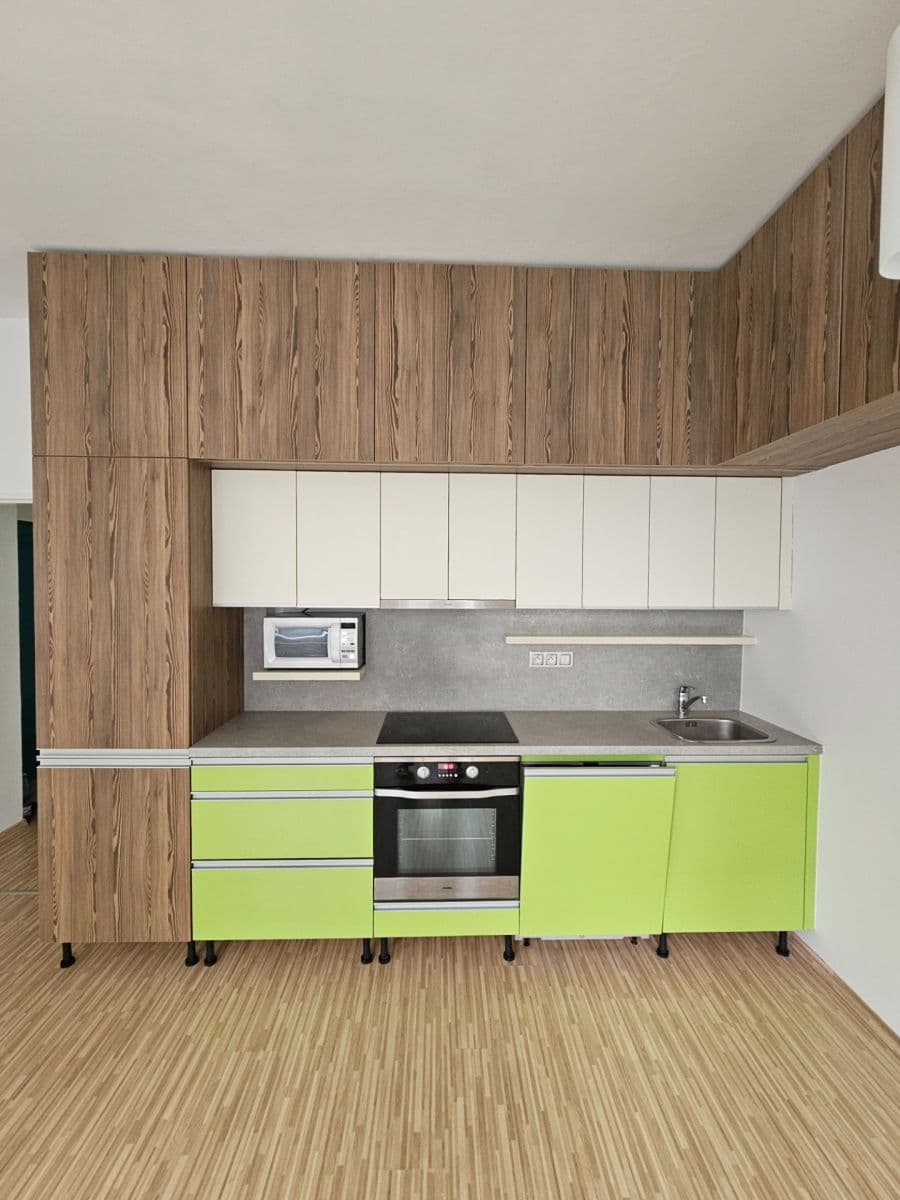 1 bedroom with open-plan kitchen flat to rent, 50 m², Na Zástřelu, Prague, Prague 1 bedroom with open-plan kitchen flat to rent, 50 m², Na Zástřelu, Prague, Prague