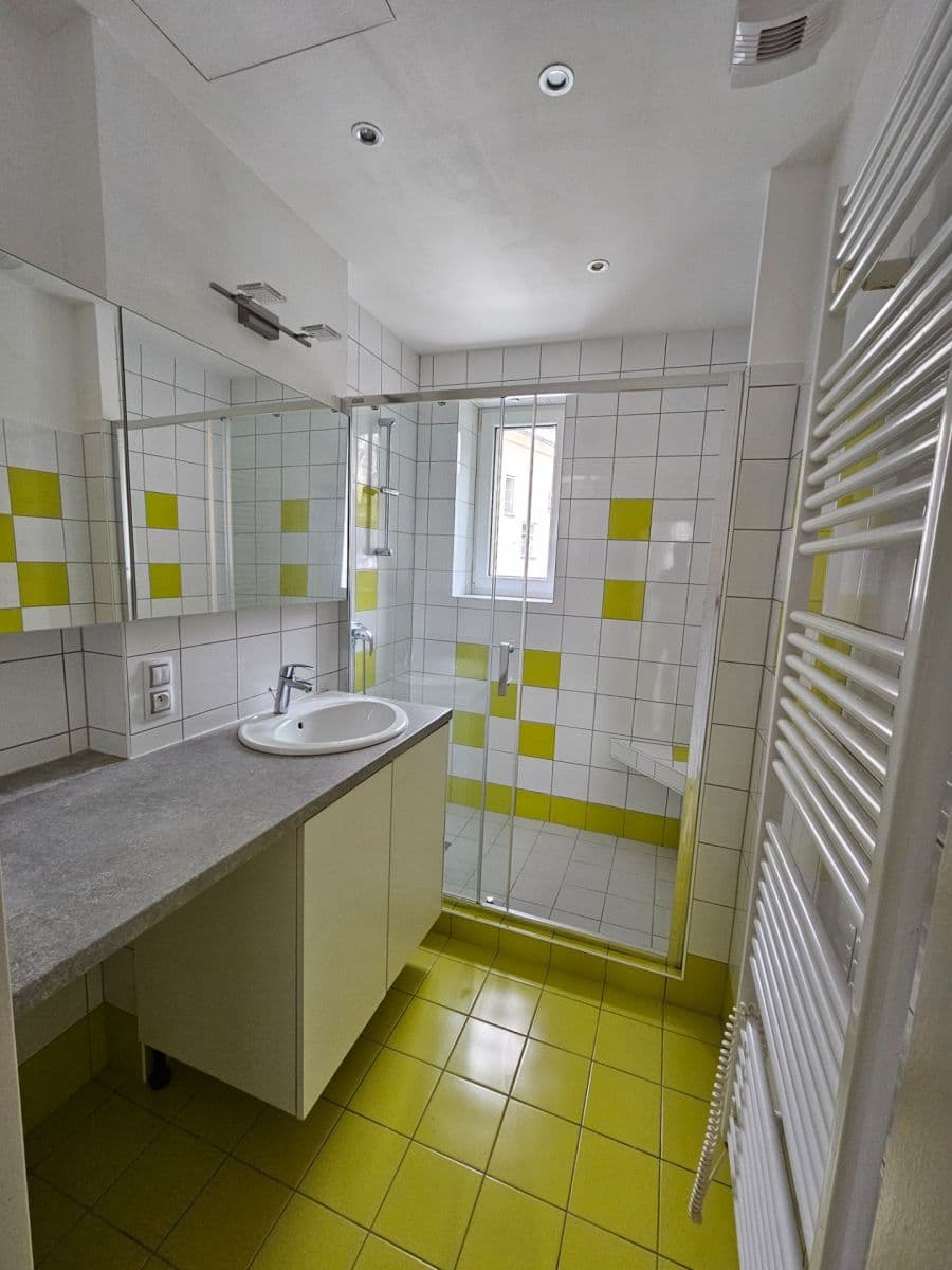 1 bedroom with open-plan kitchen flat to rent, 50 m², Na Zástřelu, Prague, Prague 1 bedroom with open-plan kitchen flat to rent, 50 m², Na Zástřelu, Prague, Prague