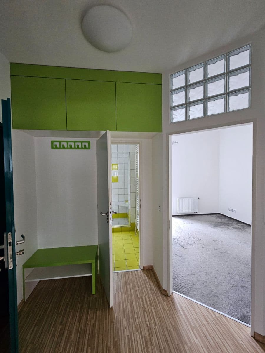 1 bedroom with open-plan kitchen flat to rent, 50 m², Na Zástřelu, Prague, Prague 1 bedroom with open-plan kitchen flat to rent, 50 m², Na Zástřelu, Prague, Prague