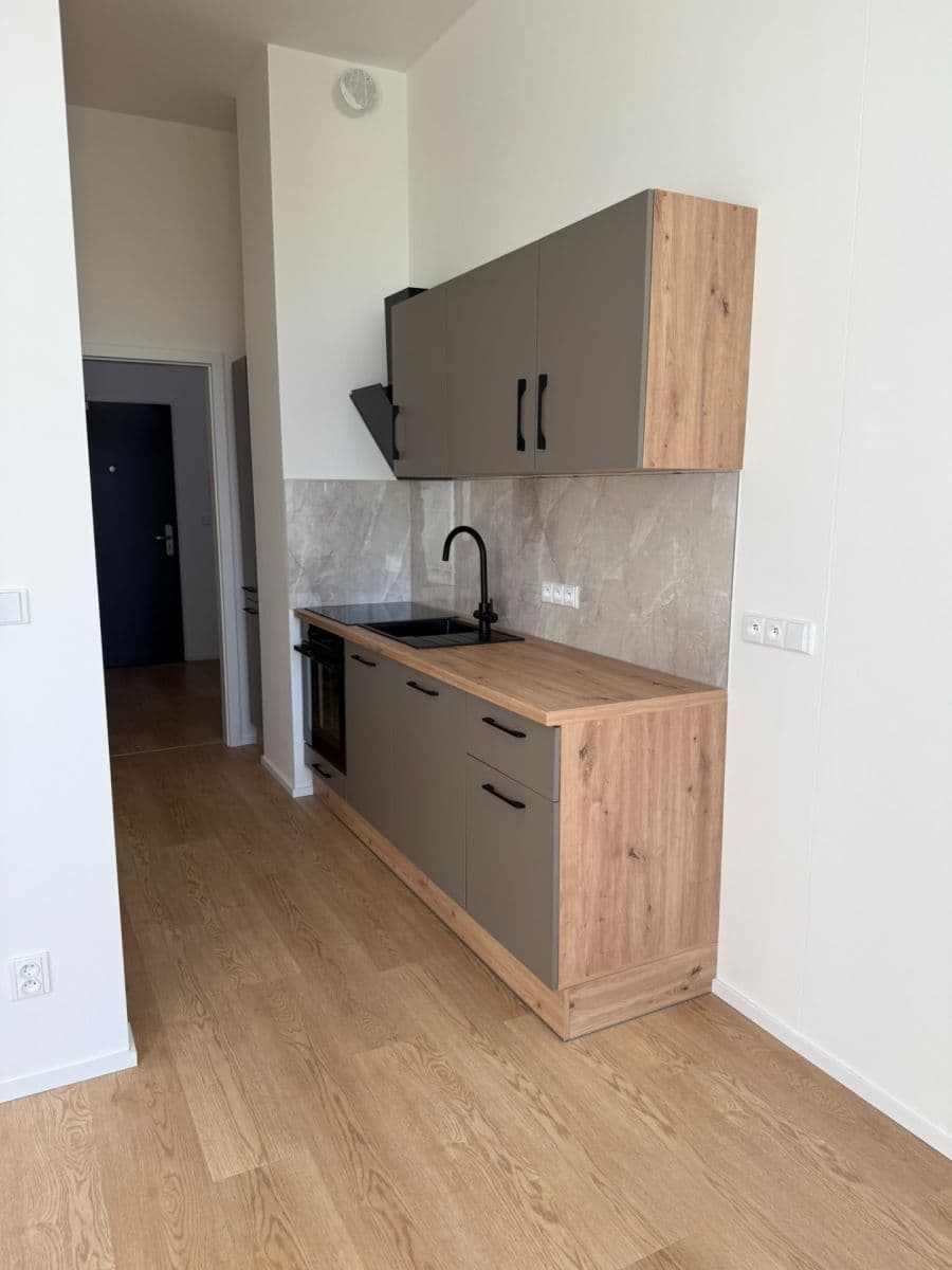 Studio flat to rent, 35 m², třída Generála Píky, Brno, Jihomoravský Region Studio flat to rent, 35 m², třída Generála Píky, Brno, Jihomoravský Region