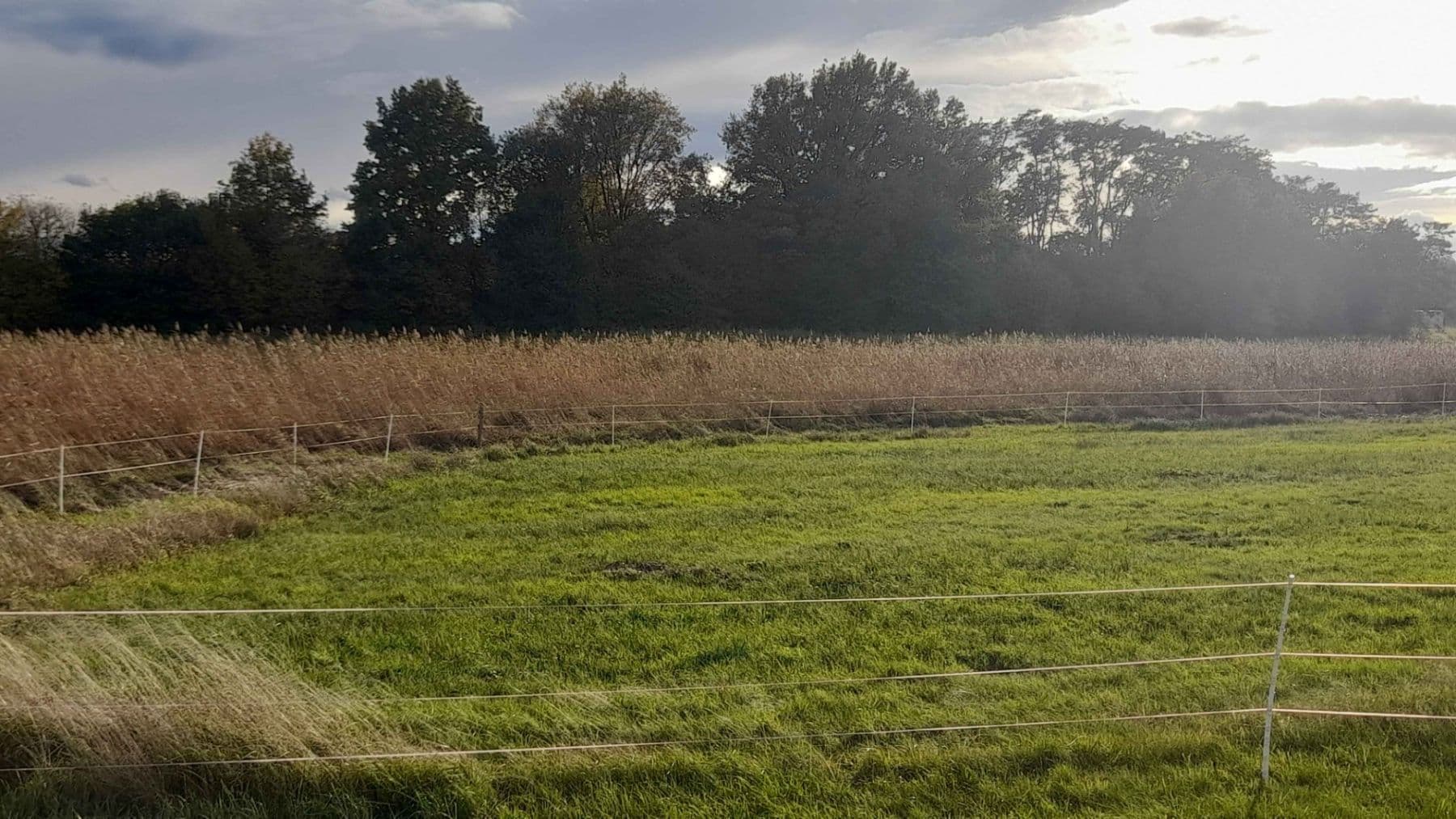 plot for sale, 1,500 m², Čachovice, Středočeský Region plot for sale, 1,500 m², Čachovice, Středočeský Region