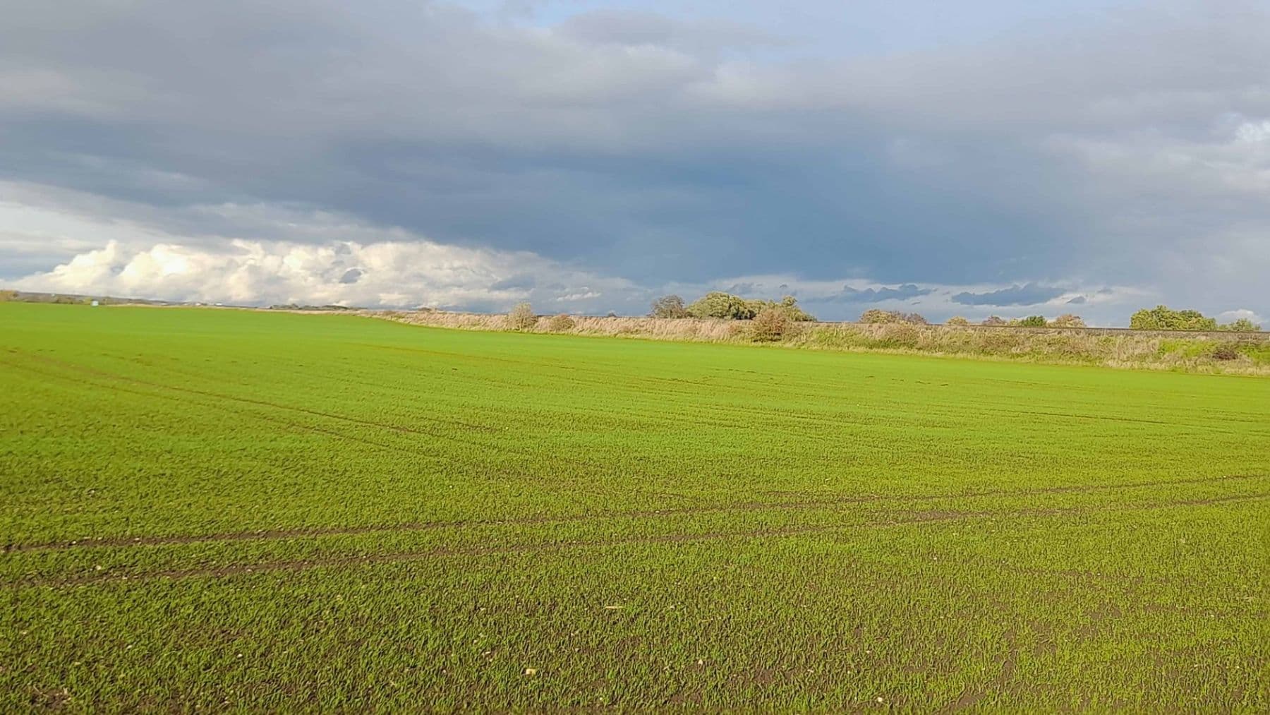 plot for sale, 1,500 m², Čachovice, Středočeský Region plot for sale, 1,500 m², Čachovice, Středočeský Region