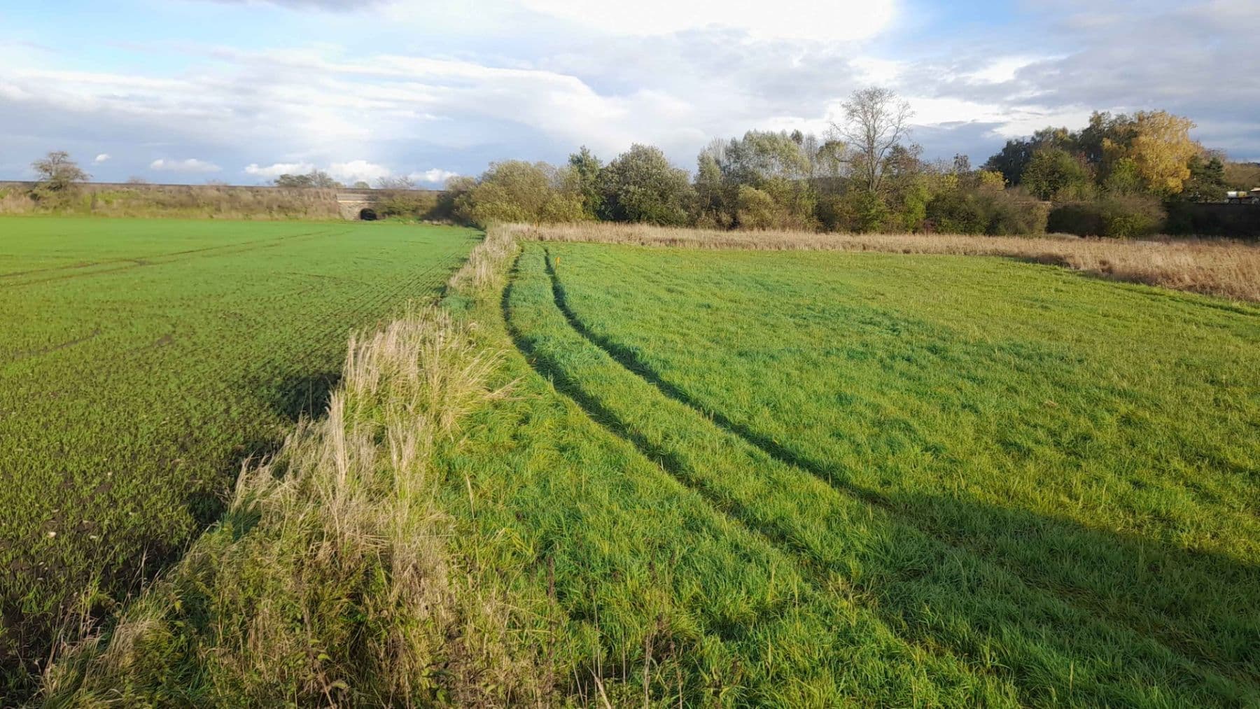 plot for sale, 1,500 m², Čachovice, Středočeský Region plot for sale, 1,500 m², Čachovice, Středočeský Region