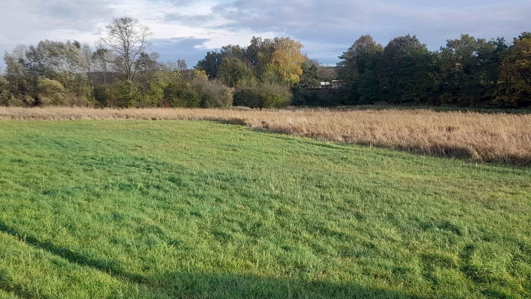 plot for sale, 1,500 m², Čachovice, Středočeský Region plot for sale, 1,500 m², Čachovice, Středočeský Region