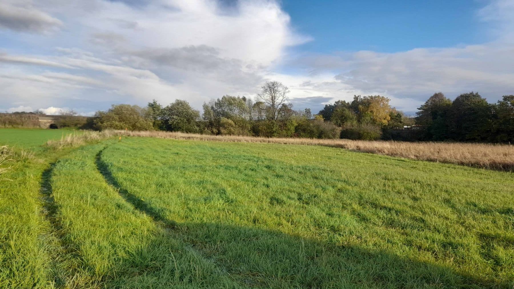 plot for sale, 1,500 m², Čachovice, Středočeský Region plot for sale, 1,500 m², Čachovice, Středočeský Region