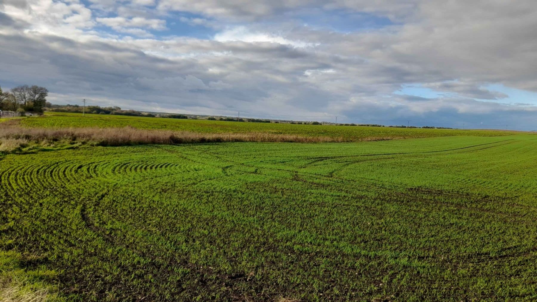 plot for sale, 1,500 m², Čachovice, Středočeský Region plot for sale, 1,500 m², Čachovice, Středočeský Region