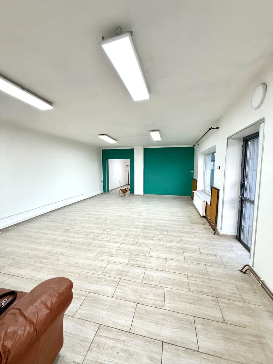 house to rent, 140 m², Mělnická, Tišice, Středočeský Region house to rent, 140 m², Mělnická, Tišice, Středočeský Region