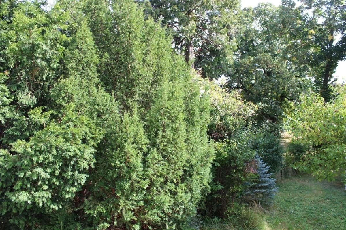 3 bedroom with open-plan kitchen flat for sale, 110 m², MAUER, Wien, Vienna 3 bedroom with open-plan kitchen flat for sale, 110 m², MAUER, Wien, Vienna