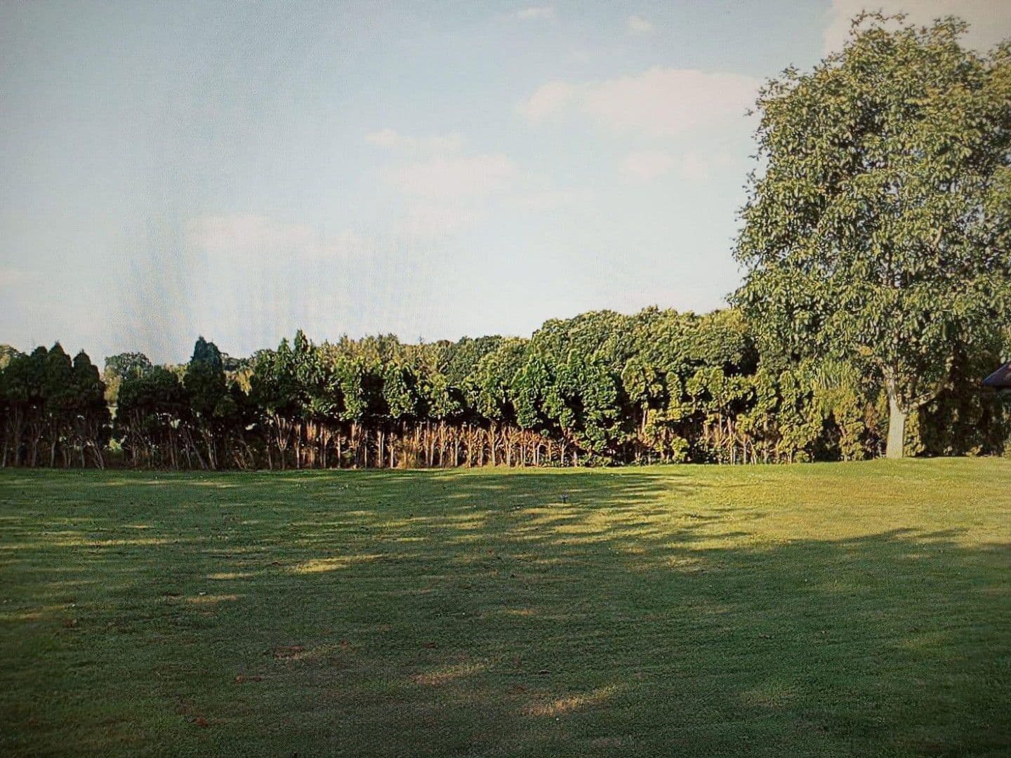 house to rent, 120 m², Wiefelstede, Lower Saxony house to rent, 120 m², Wiefelstede, Lower Saxony