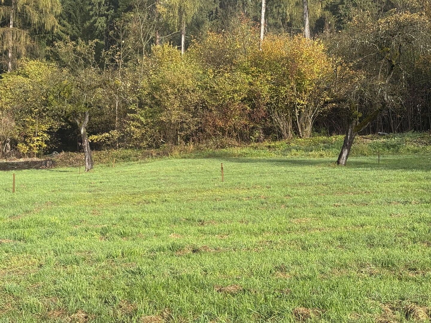 plot for sale, 454 m², Grünsbach, 122, Münster, Tyrol plot for sale, 454 m², Grünsbach, 122, Münster, Tyrol