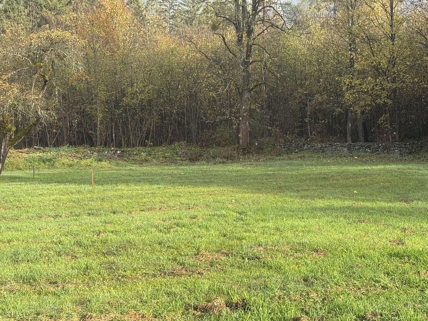 plot for sale, 454 m², Grünsbach, 122, Münster, Tyrol plot for sale, 454 m², Grünsbach, 122, Münster, Tyrol