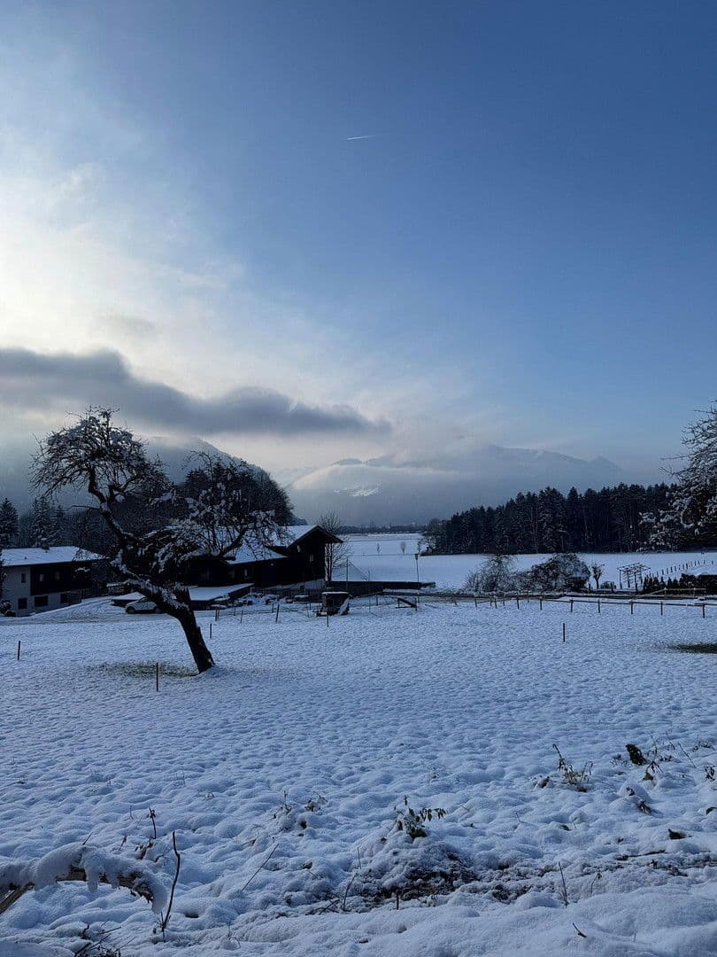 plot for sale, 454 m², Grünsbach, 122, Münster, Tyrol plot for sale, 454 m², Grünsbach, 122, Münster, Tyrol