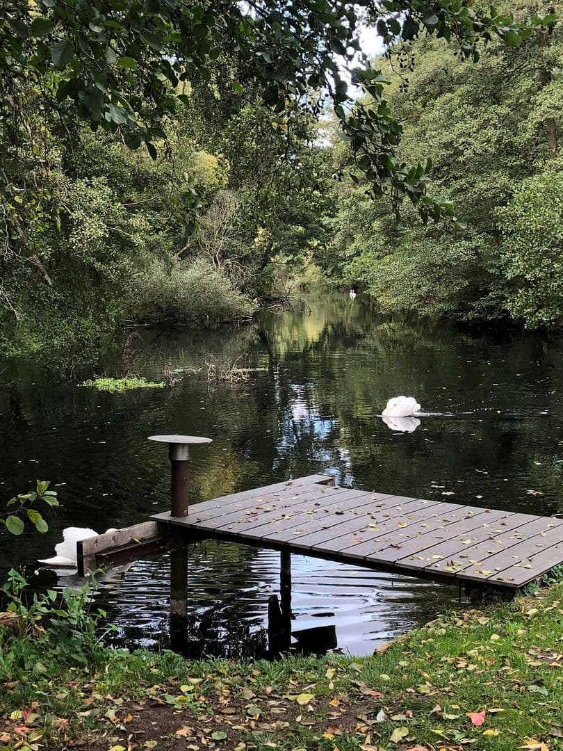 house for sale, 128 m², Weidenweg 25b, Birkenwerder, Brandenburg house for sale, 128 m², Weidenweg 25b, Birkenwerder, Brandenburg