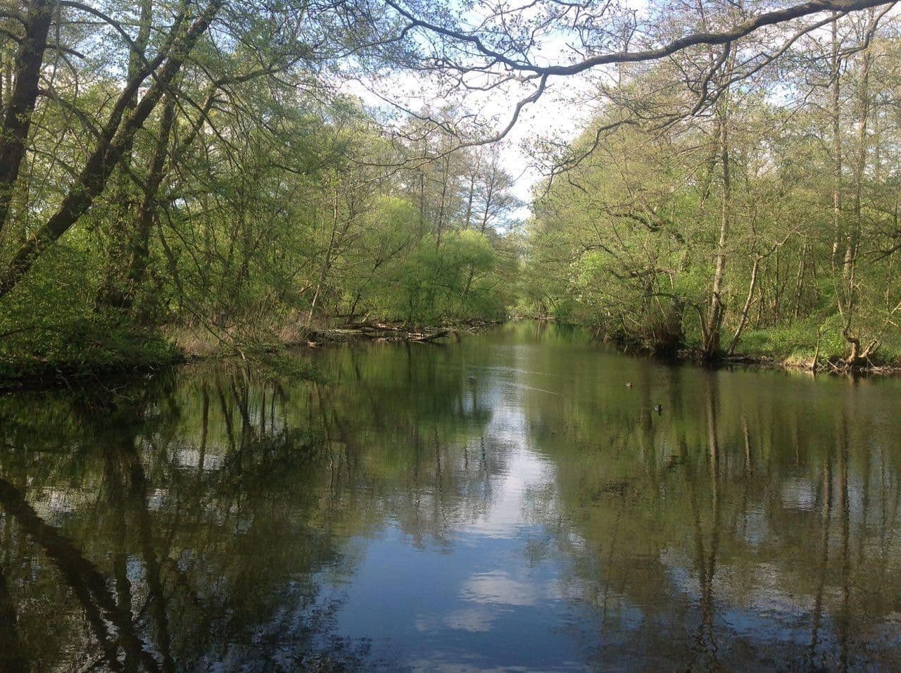 house for sale, 128 m², Weidenweg 25b, Birkenwerder, Brandenburg house for sale, 128 m², Weidenweg 25b, Birkenwerder, Brandenburg