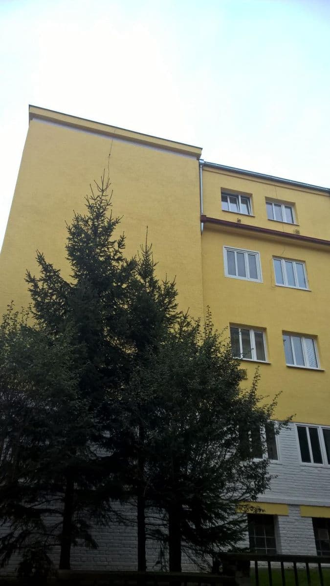 1 bedroom with open-plan kitchen flat to rent, 59 m², U Družstva Život, Prague, Prague 1 bedroom with open-plan kitchen flat to rent, 59 m², U Družstva Život, Prague, Prague