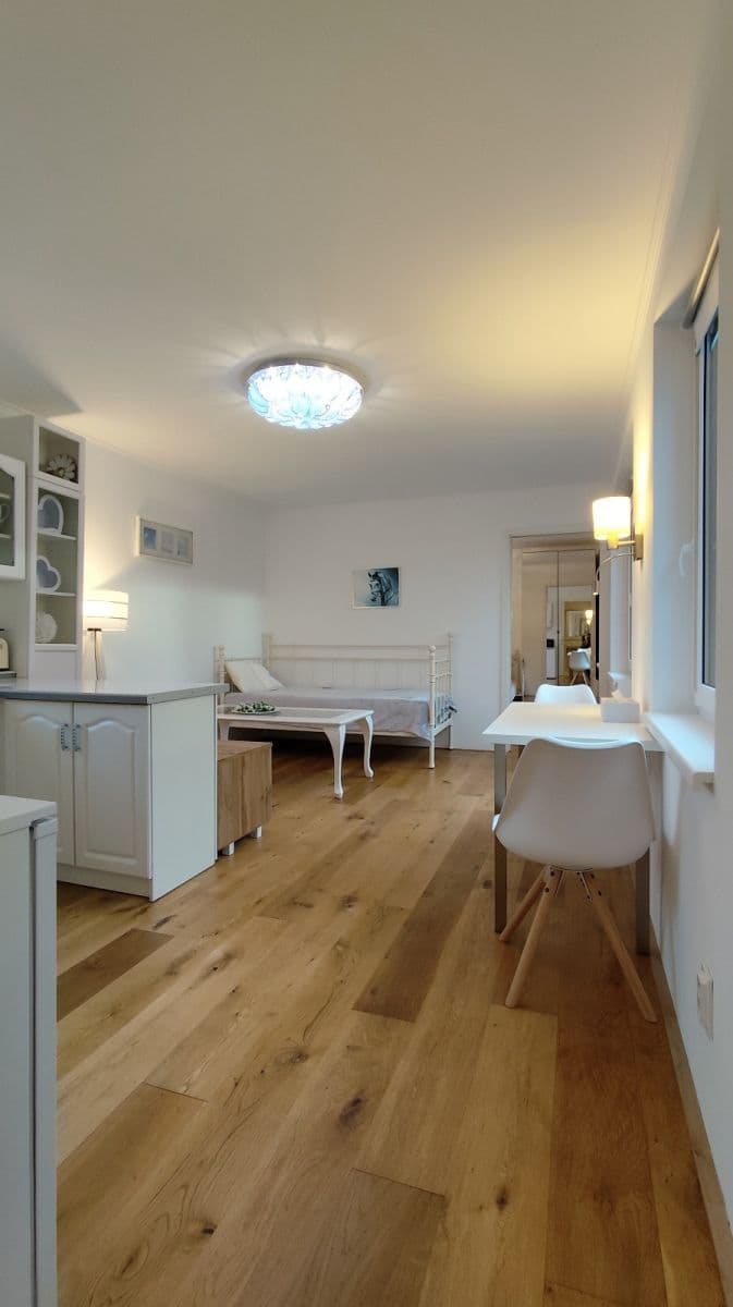 1 bedroom with open-plan kitchen flat to rent, 43 m², U Obory, Sulice, Středočeský Region 1 bedroom with open-plan kitchen flat to rent, 43 m², U Obory, Sulice, Středočeský Region