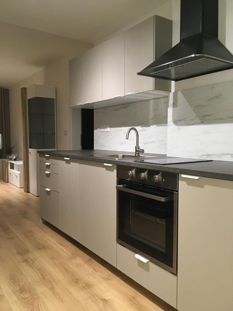 1 bedroom with open-plan kitchen flat to rent, 48 m², Čenětická, Prague, Prague 1 bedroom with open-plan kitchen flat to rent, 48 m², Čenětická, Prague, Prague