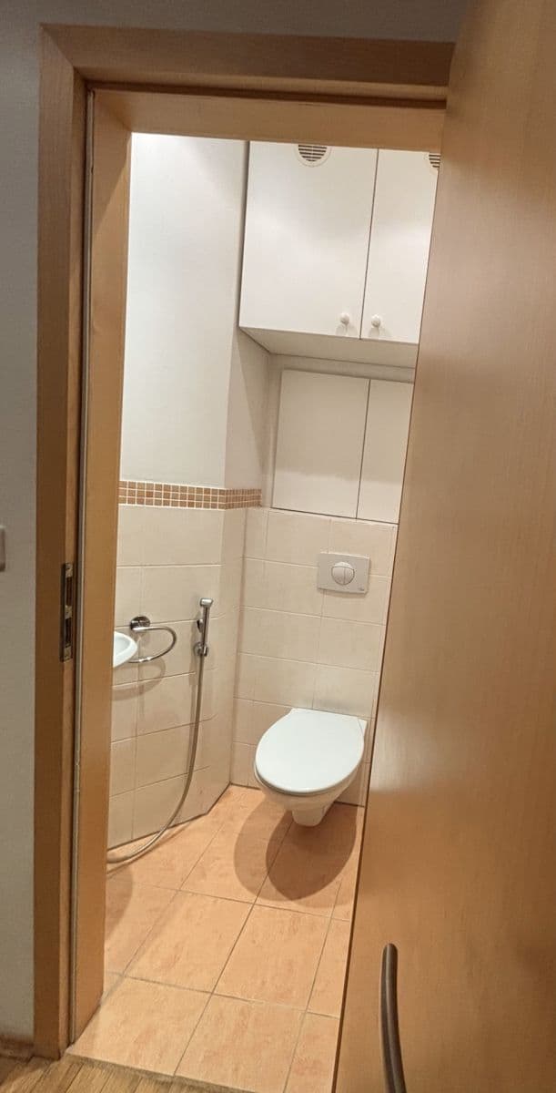 2 bedroom with open-plan kitchen flat to rent, 71 m², Na Petřinách, Prague, Prague 2 bedroom with open-plan kitchen flat to rent, 71 m², Na Petřinách, Prague, Prague