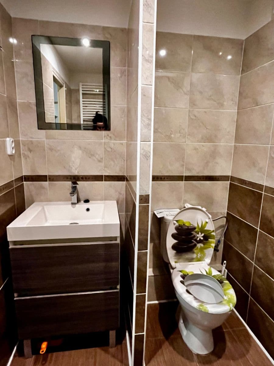 1 bedroom with open-plan kitchen flat for sale, 41 m², Alfonse Muchy, Litoměřice, Ústecký Region 1 bedroom with open-plan kitchen flat for sale, 41 m², Alfonse Muchy, Litoměřice, Ústecký Region