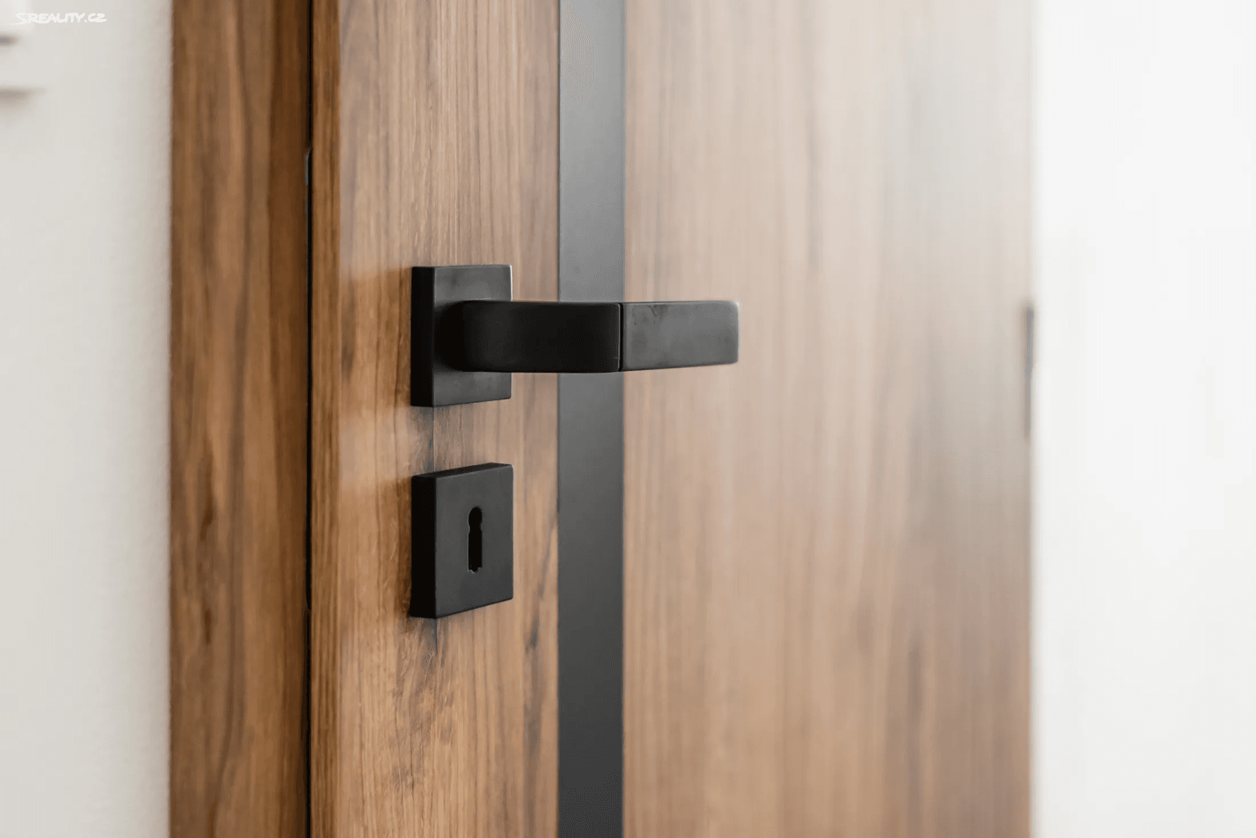 2 bedroom with open-plan kitchen flat for sale, 56 m², Na Dvorcích, Prague, Prague 2 bedroom with open-plan kitchen flat for sale, 56 m², Na Dvorcích, Prague, Prague