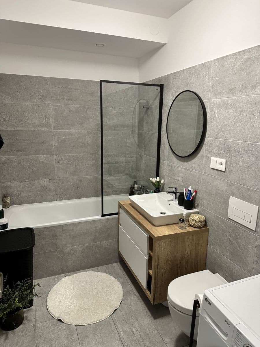 1 bedroom with open-plan kitchen flat to rent, 51 m², Sedlářova, Prague, Prague 1 bedroom with open-plan kitchen flat to rent, 51 m², Sedlářova, Prague, Prague