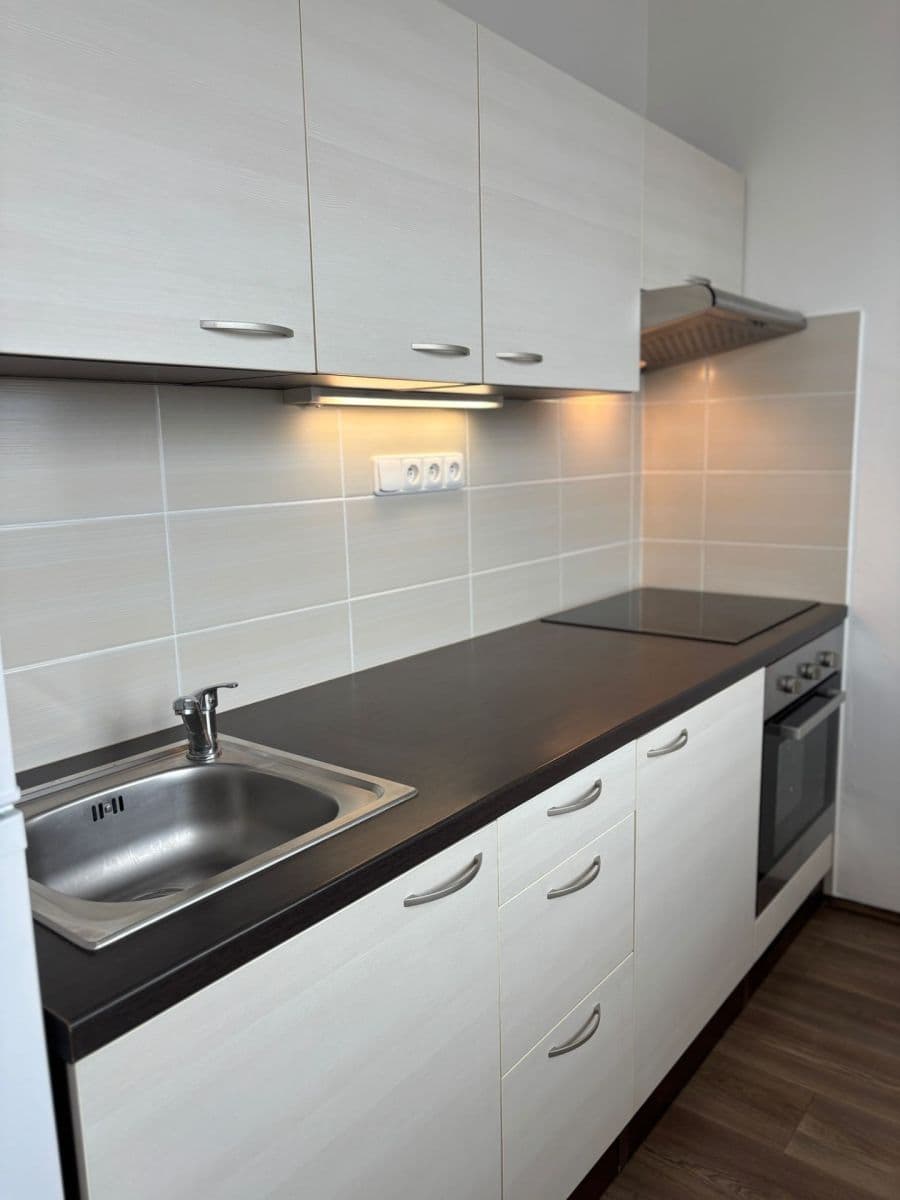 1 bedroom with open-plan kitchen flat to rent, 50 m², Písecká, Strakonice, Jihočeský Region 1 bedroom with open-plan kitchen flat to rent, 50 m², Písecká, Strakonice, Jihočeský Region