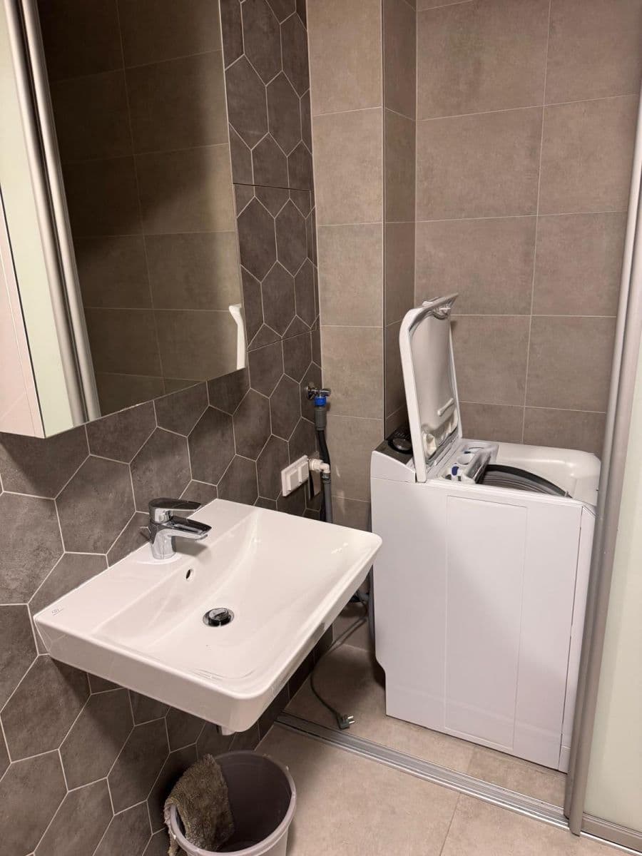 1 bedroom with open-plan kitchen flat to rent, 60 m², Ocelářská, Prague, Prague 1 bedroom with open-plan kitchen flat to rent, 60 m², Ocelářská, Prague, Prague